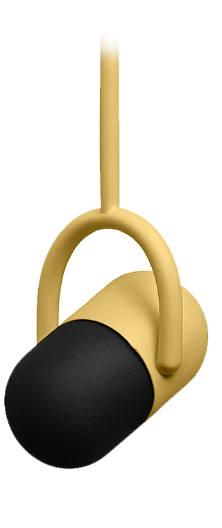 Podcast Mic