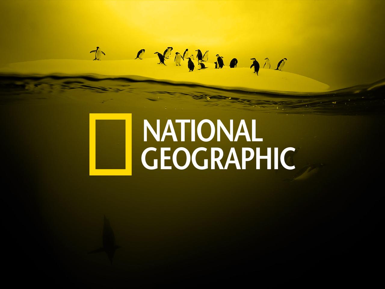 The Establishment of the National Geographic Society for the Study of Earth, Humanity, and Wildlife