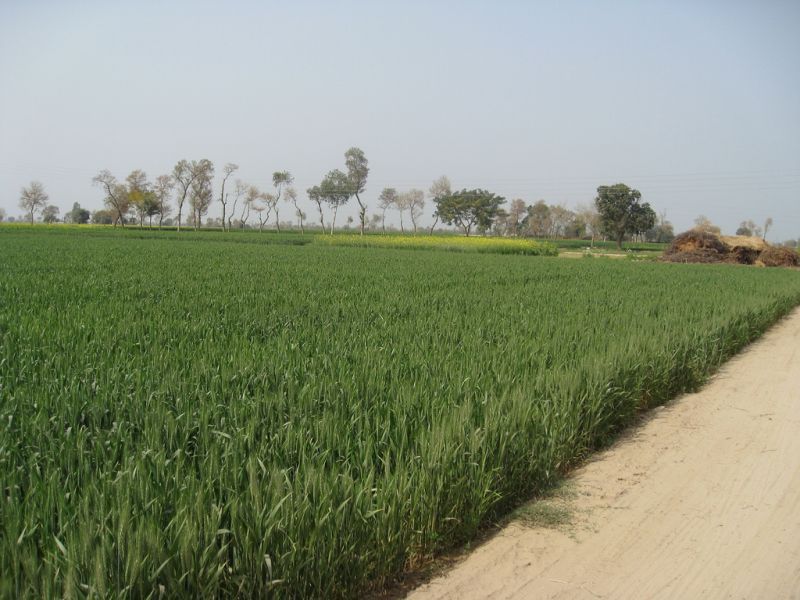 Farmers’ Committee Condemns Forced Evictions in Hasalpur