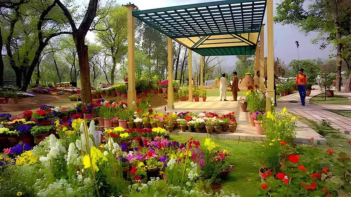 PHA Plans Restoration and Renovation of 808 Parks Across Lahore